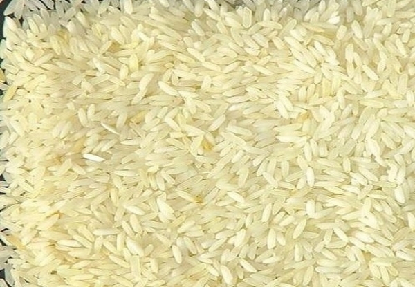  मंसूरी चावल 