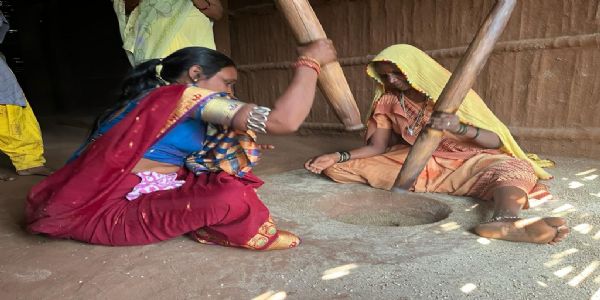 मोटे अनाज की ओर लौट रहा है गुजरात का आदिवासी पट्टा