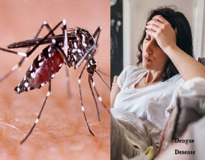 विपक्ष ने लगाया डेंगू का आंकड़ा छिपाने का आरोप