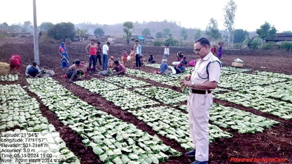 वन परिक्षेत्र में काम करते मजदूर