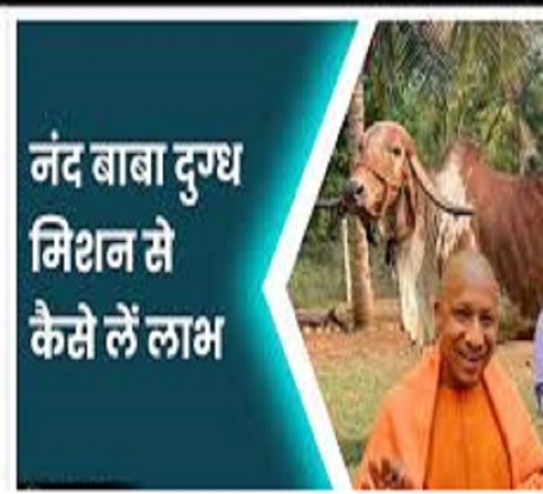 नंद बाबा दुग्ध मिशन के तहत गौ पालन के लिए योगी सरकार दे रही है अनुदान, 30 नवम्बर तक करें आवेदन