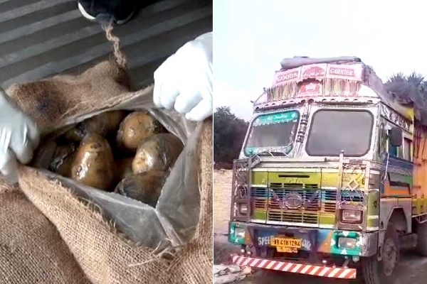 आलू निर्यात करने की कोशिश आलू निर्यात करने की कोशिश