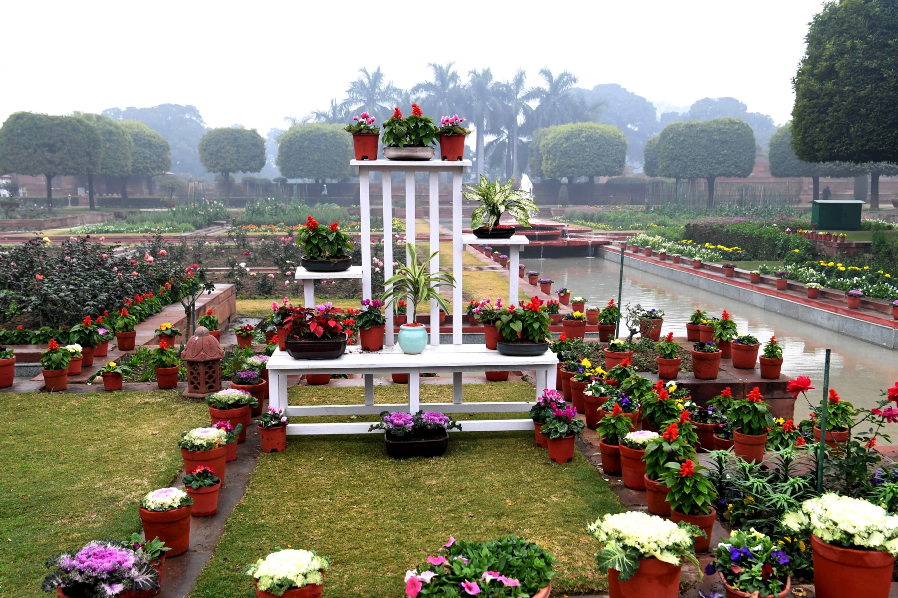 राष्ट्रपति श्रीमती द्रौपदी मुर्मू ने अमृत उद्यान फरवरी से जनता के लिए खुला फोटो गणेश बिष्ट