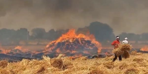 दो गांवों की हजारों बीघा जमीन की फसलें आग में जलकर हुई स्वाहा