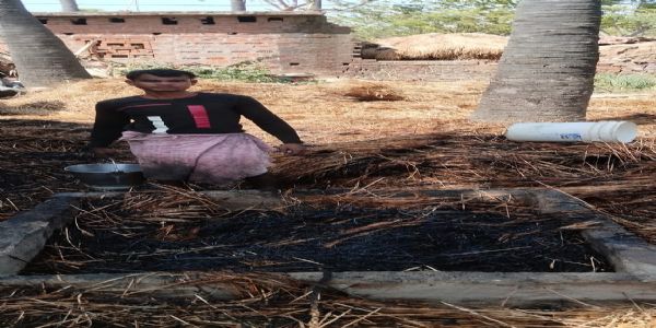 भीषण आग लगी में किसान का 100 बोझा गेहूं जलकर राख
