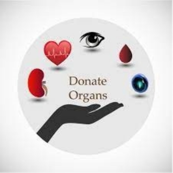 organ transplant case