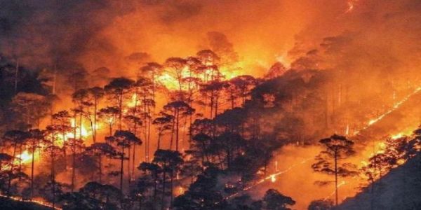 कुमाऊं से लेकर गढ़वाल तक जल रहे जंगल, धधक रही आग