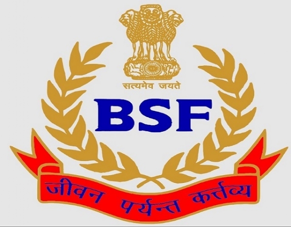 BSF Logo
