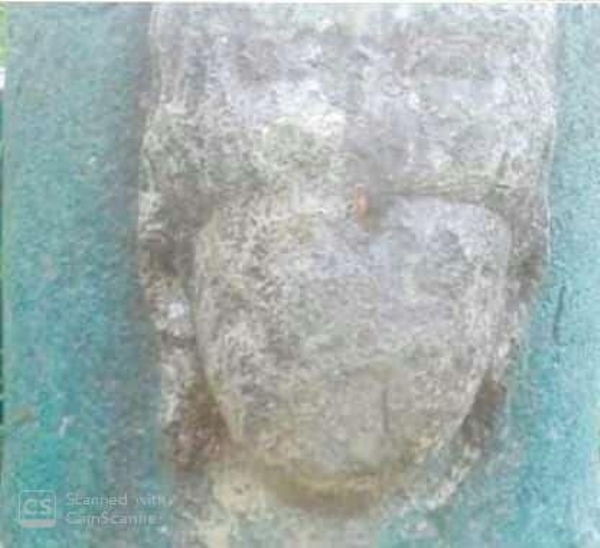 भंदहा कला के जलाशय में मिले देव प्रतिमाओं के अवशेष