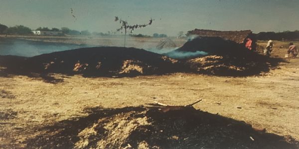 संदिग्ध स्थिति में लगी आग से जला बीस बीघे गेहूं का भूसा व पुआल