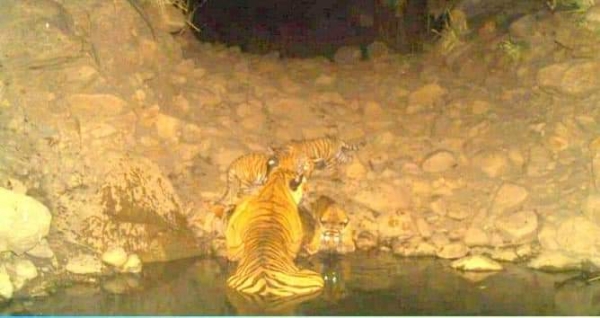 alwar