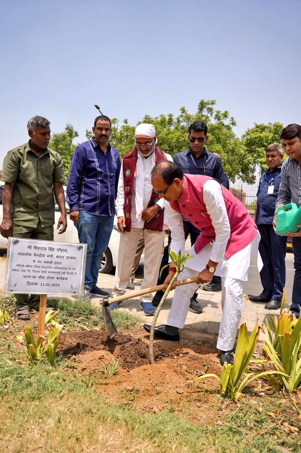  पौधा लगाते  शिवराज सिंह चौहान