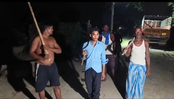 भेड़िया के बचाव के लिए गस्त करते ग्रामीण