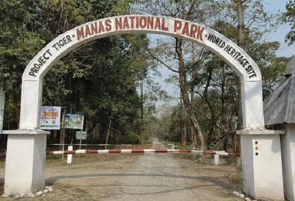 राष्ट्रीय उद्यान मानस का फाइल फोटो