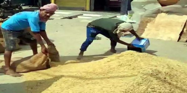 फरीदाबाद : मंडी में फसल की रिकॉर्ड आवक, किसानों की लगी भीड़