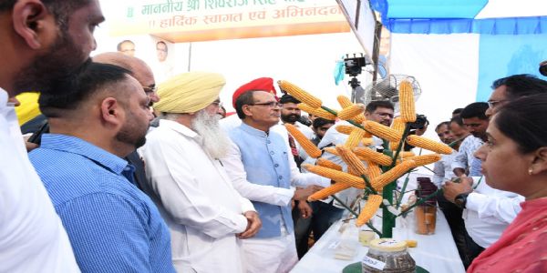 केंद्रीय कृषि मंत्री शिवराज चाैहान लुधियाना में मक्का प्रदर्शनी का अवलोकन करते हुए