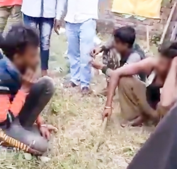 कंगारू कोर्ट