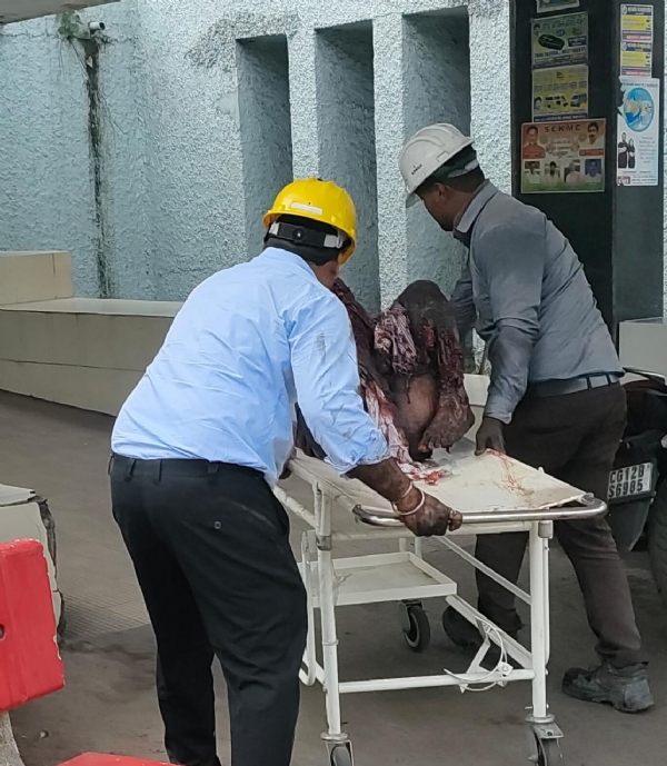 कोरबा : दीपका खदान में बारूद गाड़ी का टायर फटा, एक कर्मचारी गंभीर घायल
