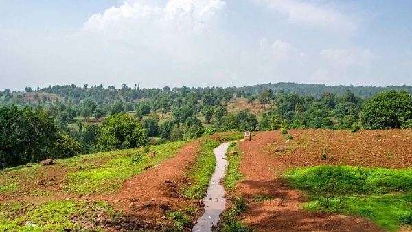 अंबिकापुर का ‘उल्टापानी’: जहां गुरुत्वाकर्षण भी हार मान लेता है! अंबिकापुर का ‘उल्टापानी’: जहां गुरुत्वाकर्षण भी हार मान लेता है!