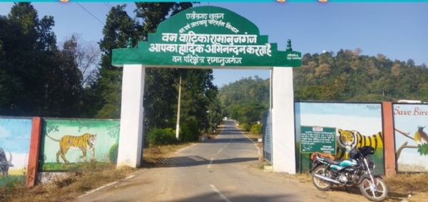 रामानुजगंज वन वाटिका : हरियाली, चुनौतियाँ और संरक्षण की पुकार रामानुजगंज वन वाटिका : हरियाली, चुनौतियाँ और संरक्षण की पुकार