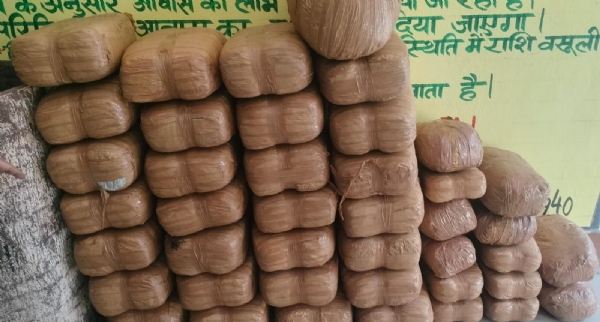 फोटो.बरामद गांजा