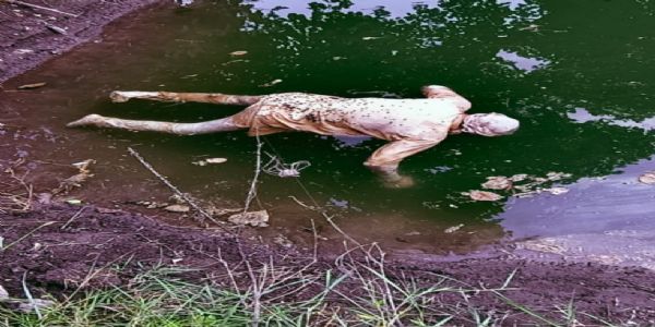 राजगढ़ःबिना मुंडेर के कुएं में तैरता मिला व्यक्ति का शव