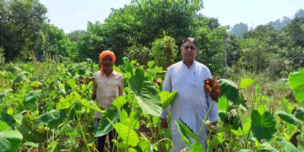 रिटायर्ड प्रिंसिपल ने खेती-किसानी में भी किया कमाल