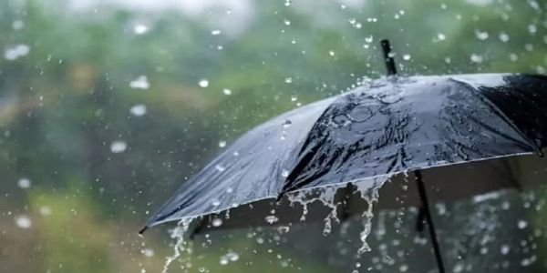 राजस्थान के 24 जिलों में आज बारिश का यलो अलर्ट