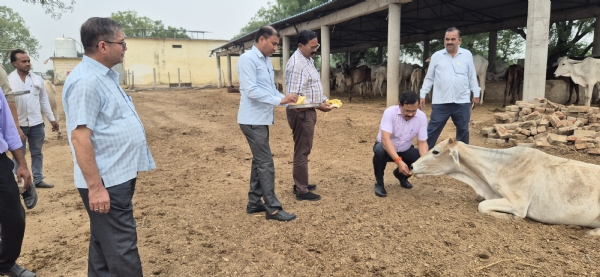 गुड़ चना खिलाते जिलाधिकारी