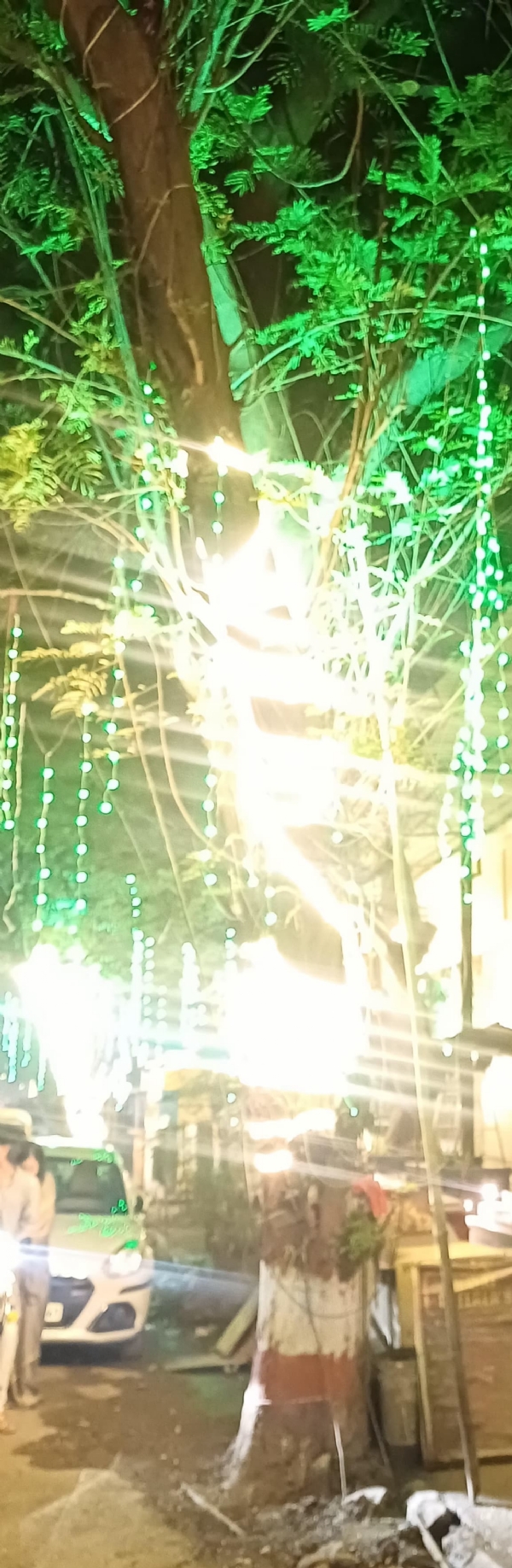 Electric light of fatal for trees seys dr Prashant
