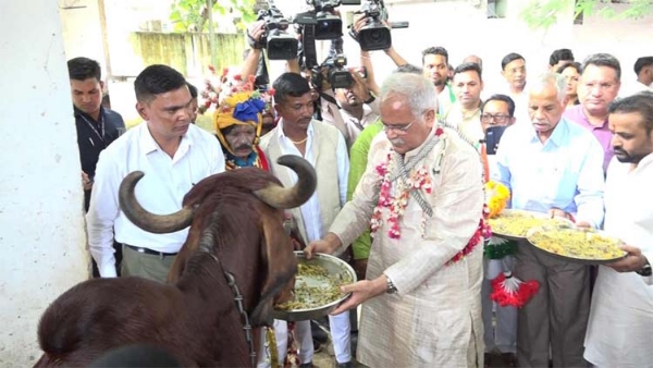 पूर्व मुख्यमंत्री भूपेश के निवास में गाेवर्धन पूजा कार्यक्रम का आयोजन