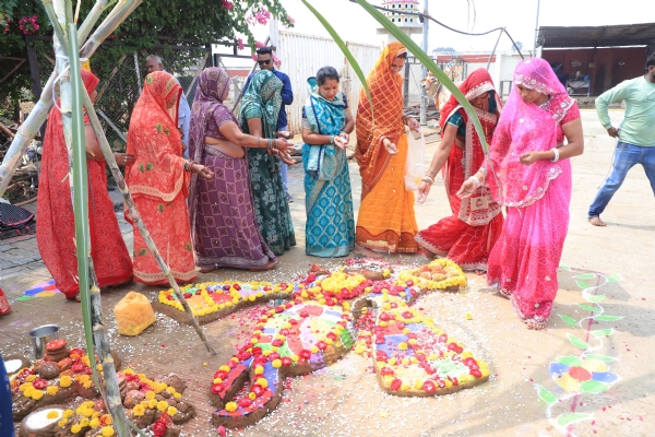 महाकालेश्वर मंदिर की गौशाला में हुआ गोवर्धन पूजन