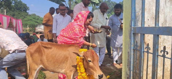 कृष्ण गोपाल गौशाला बकेली में जिला पंचायत अध्यक्ष प्रीति सिंह गाैवंश की पूजा करती हुई