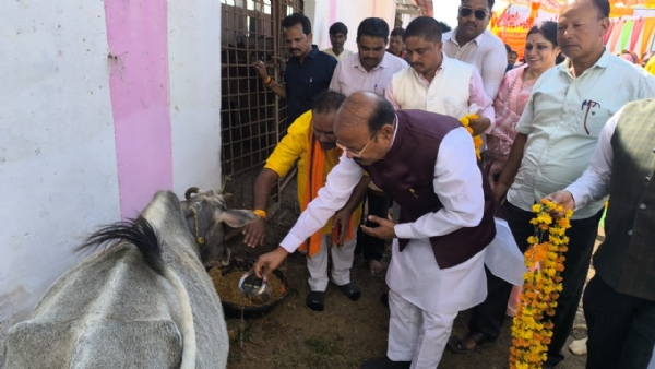 गाैवंश की पूजा करते कुटीर एवं ग्रामोद्योग मंत्री दिलीप जायसवाल