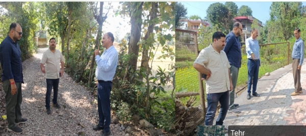 Development works were inspected in various panchayats of Bilawar block.