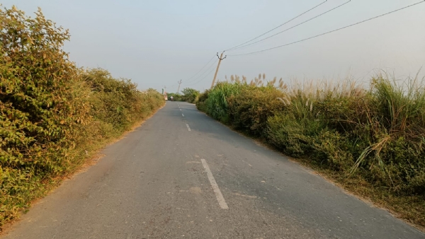 *मोहरीपुर–सिहोरवा मार्ग बना हादसे का जाल, सड़क किनारे कांटेदार झाड़ से कभी भी हो सकता बड़ा हादसा — जनप्रतिनिधियों की लापरवाही उजागर*