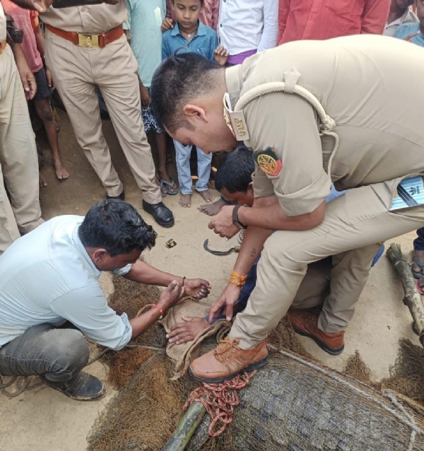 हलिया के बसुहरा गाँव में पहुचे मगरमच्छ को पकडते वनकर्मी