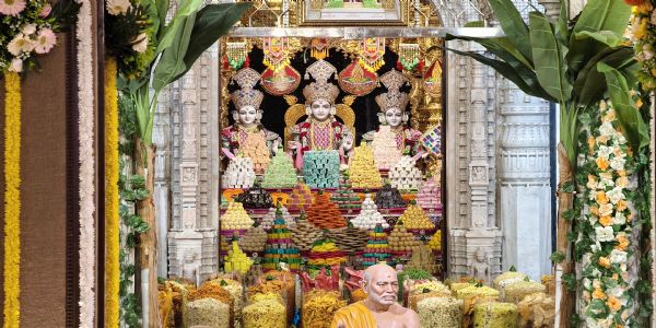 ठाकुरजी काे अर्पित किया गया 1200 से अधिक व्यंजनों के भव्य अन्नकूट