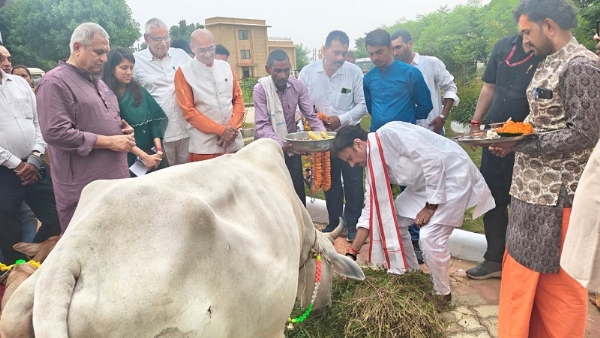 बसामन मामा गौवंश वन्य विहार व लक्ष्मणबाग में किया गोवर्धन एवं गौपूजन