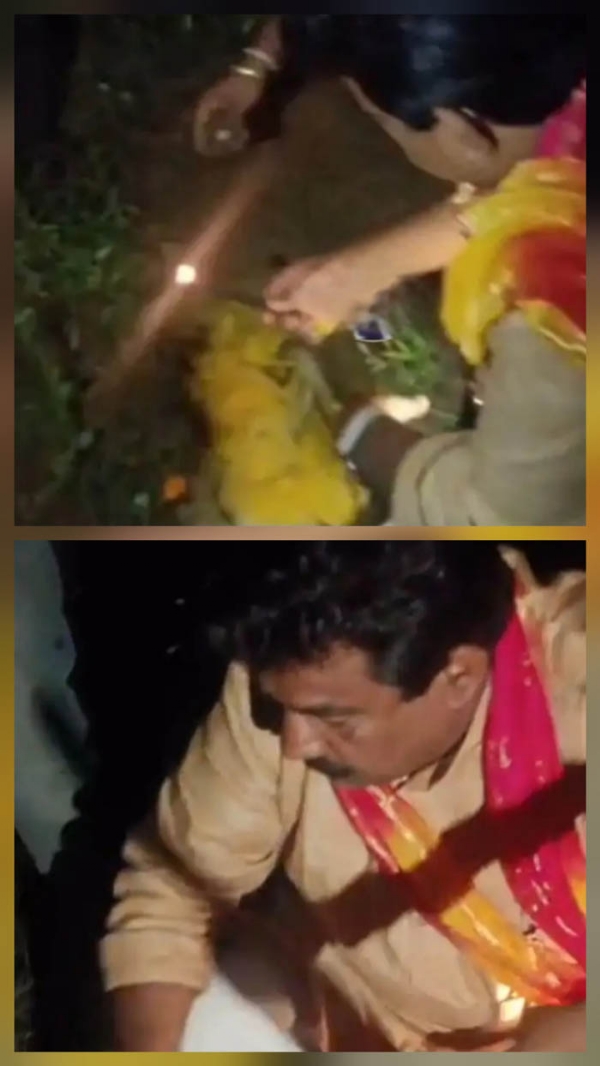 वाहन की चपेट में आने से एक बंदर  की हुई मौत, विधिवत अंतिम विदाई दी गई