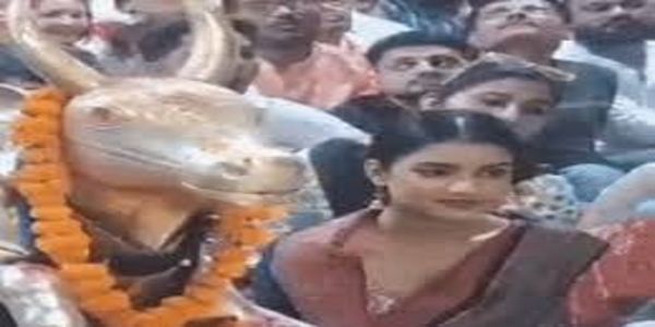 मिस इंडिया-2024 निकिता पोरवाल पहुंची बाबा महाकाल के दरबार, भस्म आरती में हुईं शामिल