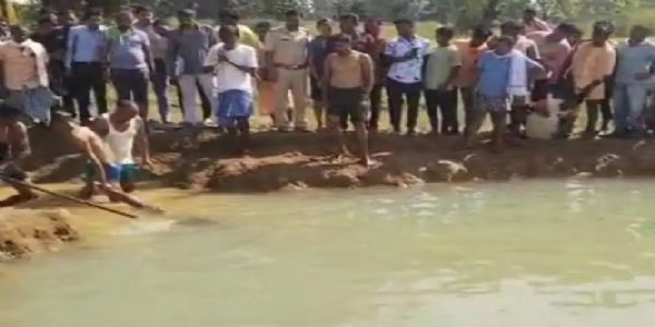 मधुमक्खियों के हमले से बचने के लिए डबरी में कूदे पिता-पुत्र की हुई मौत