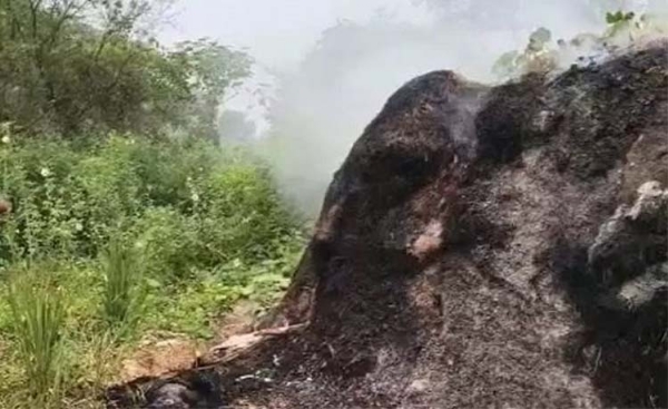 पैरावट में जली लाश मिली पैरावट में जली लाश मिली