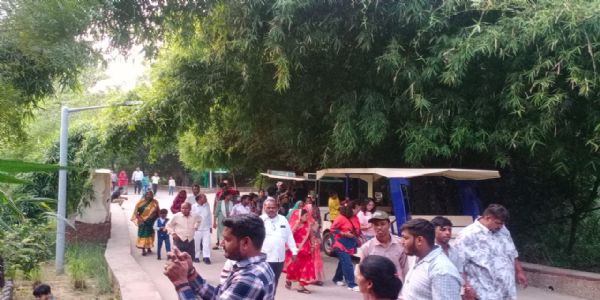 नाहरगढ़ जैविक उद्यान में टाइगर सफारी बनी आकर्षण का केंद्र