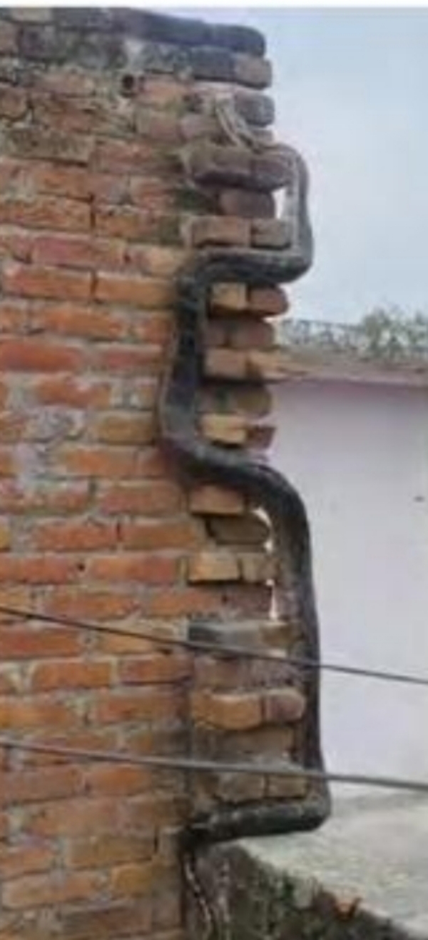 दीवार के सहारे चढ़ता हुआ अजगर दीवार के सहारे चढ़ता हुआ अजगर