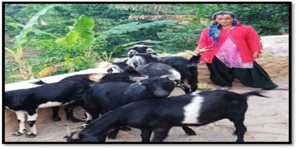 बकरी पालन से बदली जिंदगी, ग्रामोत्थान परियोजना से आत्मनिर्भर बनीं तारी देवी