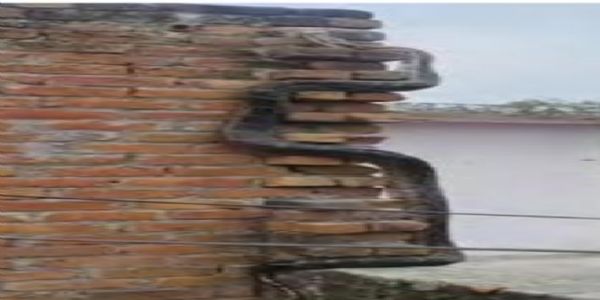 छत पर चढ़ रहे 12 फीट के अजगर को ग्रामीणाें ने किया रेस्क्यू, जंगल में छाेड़ा