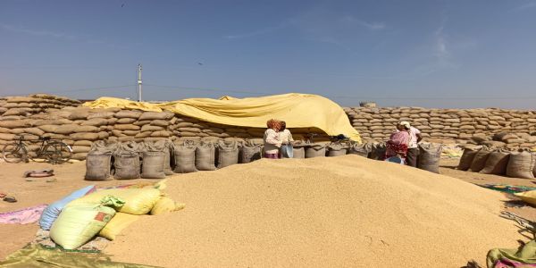 धमतरी : धान उपार्जन अवधि में निगरानी के लिए उड़नदस्ता दल गठित