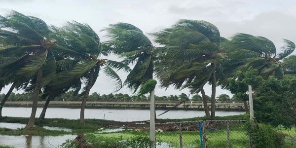 चक्रवाती 2 चक्रवाती 2