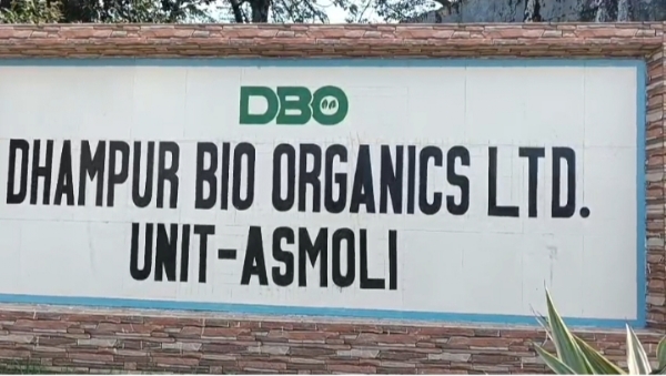 फोटो फोटो